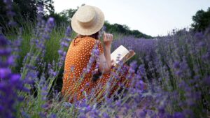 Femme qui lit dans un champs de lavande
